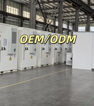 OEM/ODM & Customization Capability